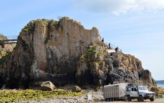 Reinforcements at St. Catherine's Island for the bulls return?