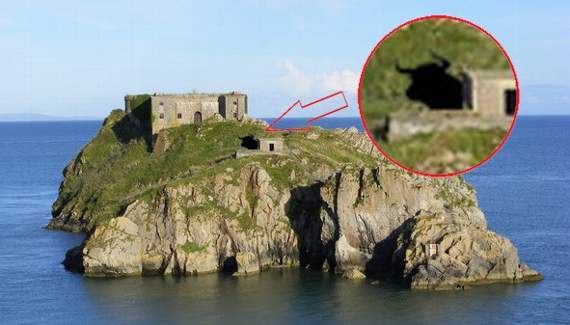 A sighting of the 'beast of Tenby'