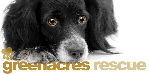 Greenacres dogs hotsell