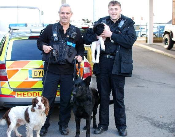 PC John Llewellyn, PC Haydon Mathias, PD Dash, PD Cassie and Billy