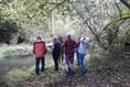Behind the scenes with beavers