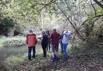 Behind the scenes with beavers
