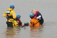 Porpoise rescue mission
