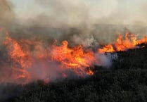 Heath fires sweep across the district