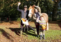 Easier grazing thanks to cash