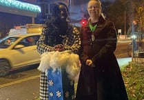 Sparkly stag joins new Christmas lights in Whitehill & Bordon