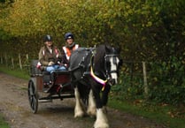 Rotary grant gives chance for carriage driving fun