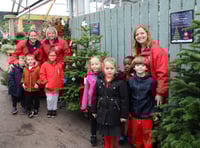 Schools get in festive spirit