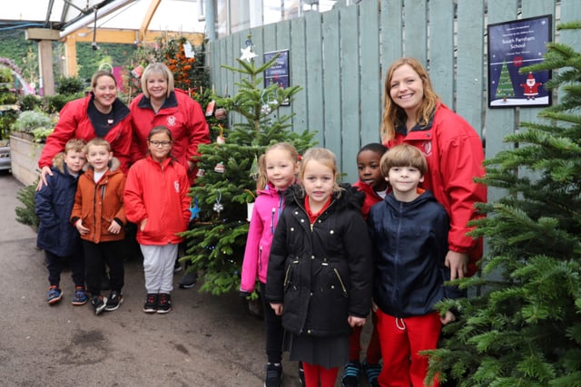 Schools get in festive spirit