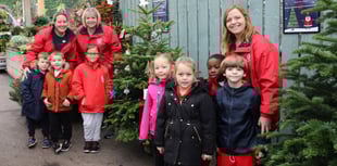 Schools get in festive spirit