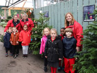 Schools get in festive spirit