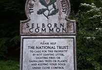 No phone signal leads to hefty car park fine at Selborne beauty spot