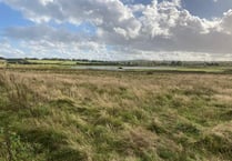 Future of Tice's Meadow Nature Reserve secured as councils complete purchase
