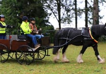Charity wants to expand its carriage-driving service