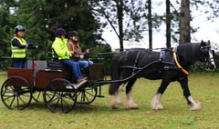 Charity wants to expand its carriage-driving service