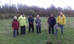 New community orchard planted in Alton