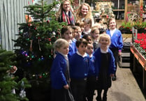 South Farnham School is top of the tree