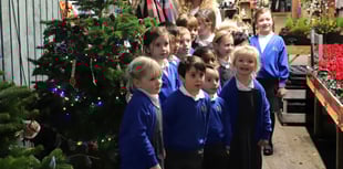 South Farnham School is top of the tree