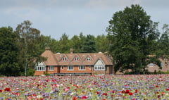 Frensham mansion is Surrey’s most viewed on Rightmove