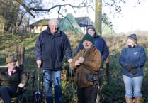 Jo reunited with beloved cows at last