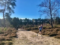 Runners are in the running for cross-country honours