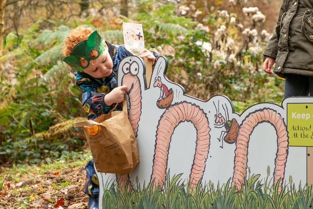 New Superworm family trail opens at Alice Holt Forest