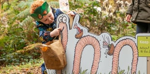 New Superworm family trail opens at Alice Holt Forest