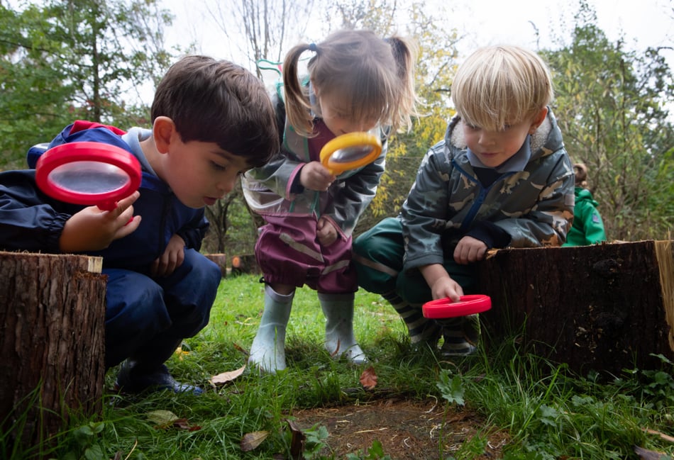 Children enjoying Forest School at St Ives