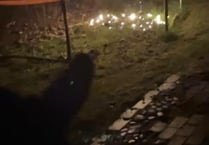 Garden trampoline set alight by mystery ‘flare’