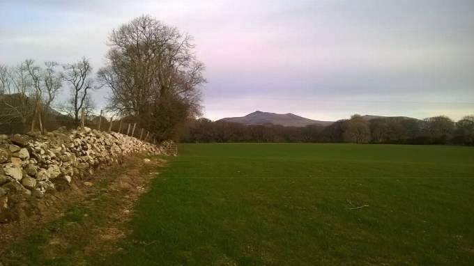 The proposed site of the holiday pods at Fferm Llwyndyrus. Photo: Planning documents