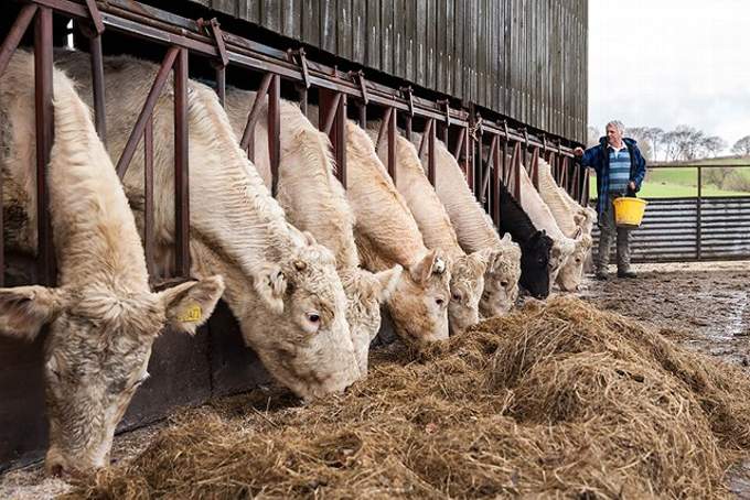 FUW President Glyn Roberts on his farm in Conwy. Pic from FUW