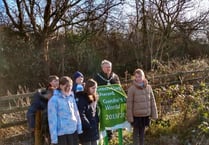 Woodland corridor enhances meadow