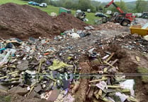 Council set to act over pub owner's rusty car collection