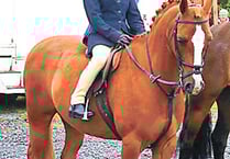South Pembrokeshire Hunt Pony Club news