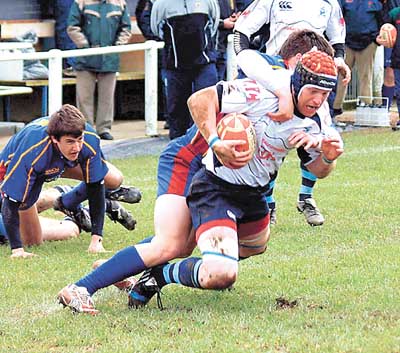 Narberth back row forward Lloyd Phillips is well tackled. Pic. Patrick Jones