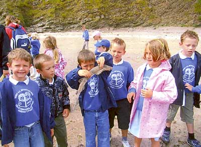 Tenby Infants enjoyed a beach picnic last Friday, when there were obviously some fishy goings on!
