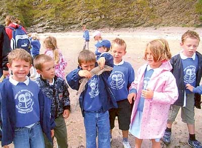 Tenby Infants enjoyed a beach picnic last Friday, when there were obviously some fishy goings on!