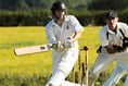 Pembroke County Cricket League