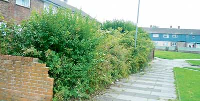Pictured is the same part of the estate before works took place.