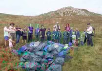 1st Narberth Scout group  gets cash boost for eco project