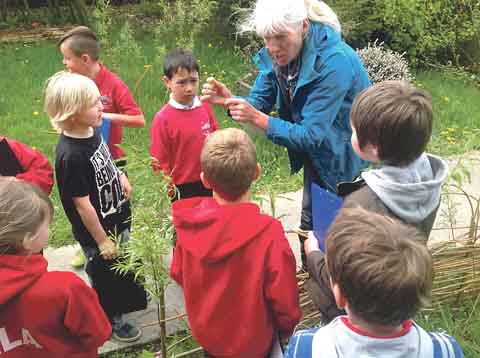 Ginny Moore observing plants with the children in the school garden.