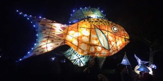 ‘Amazing evening’ at Pembroke Dock lantern parade