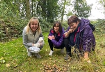 Field Studies Council campaign aims to keep adults connected to nature through learning