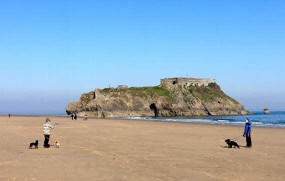 Seaside seclusion - dog walkers use their daily allowance to exercise on Tenby’s South Beach whilst keeping their distance (Observer pic)