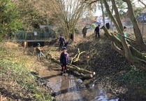 Chalk stream is restored to help wetland wildlife