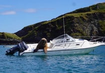 Might Wally be enjoying a ‘refreshing G&T’ on his new boat?