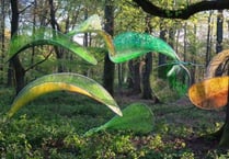Bid to attract people to the art of the Forest