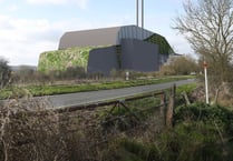 Alton A31 incinerator plan may go to government