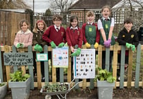 Rowledge Busy Bees get Royal Horticultural Society grant