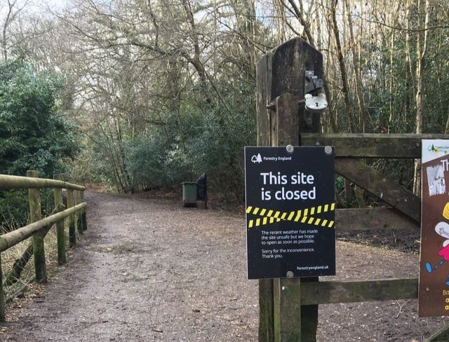 Alice Holt Forest closed to visitors because of high winds